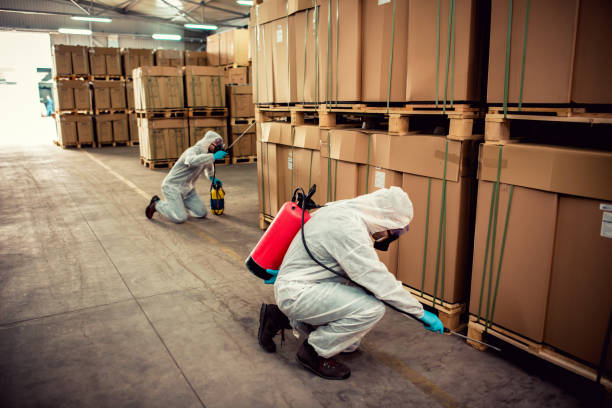 Best Bed Bug Extermination  in Oakwood, OH