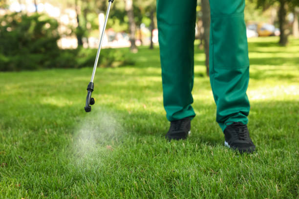 Trusted Oakwood, OH Pest Control Experts