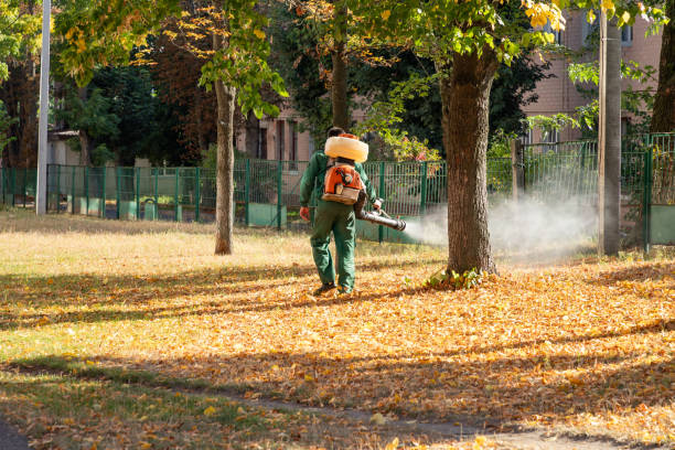 Best Pest Control for Homes  in Oakwood, OH